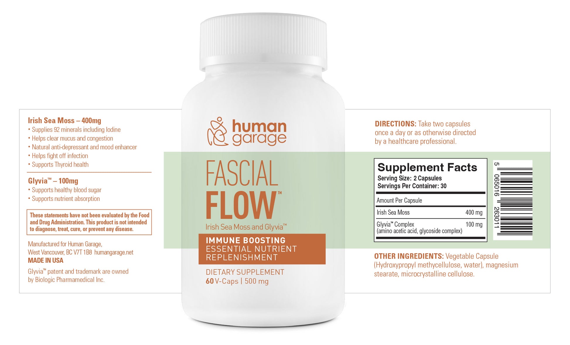 Fascial Flow™ image 1